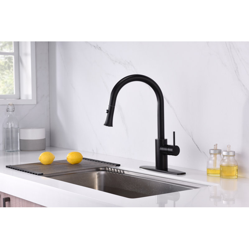 Euro Collection High-Arc Single Handle Kitchen Faucet with 2-Function Pull-Down Spout Sprayer - Oil Rubbed Bronze