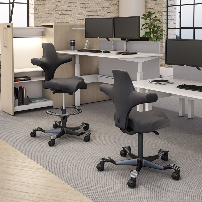  HÅG Capisco Adjustable Sit-to-Stand Height Chair, Black, Gray Dove, Sit-to-Stand