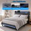 Upholstered Bed-55056311