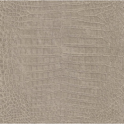 Stacy 10.05m x 53cm Textured Metallic Finish Wallpaper Roll