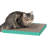 Scratching Post
