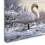 « winter swans », reproduction sur toile tendue-21938557