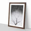 Bird House in a Tree - Picture Frame Graphic Art Print-56862821-56862822