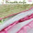 Charlotte Quilt Set-1493293373