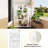 31.5'' W x 22.4'' D Growing Rack Greenhouse