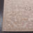 Aldercy Performance Oriental Rug-1005763007