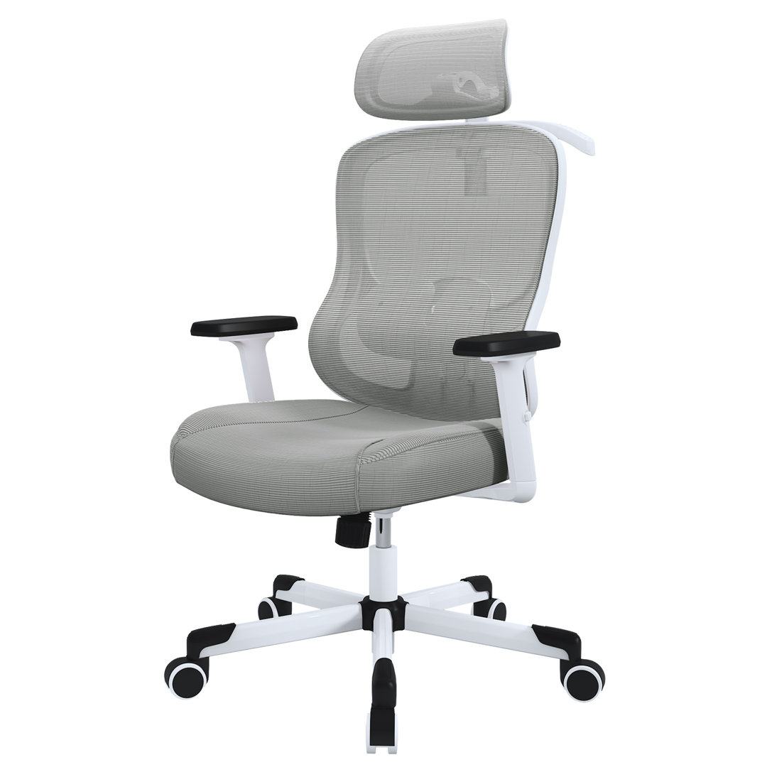Mazlack Ergonomic Mesh Office Chair with 6D Headrest, Adjustable Lumbar, Flip-up Arms Inbox Zero Upholstery 