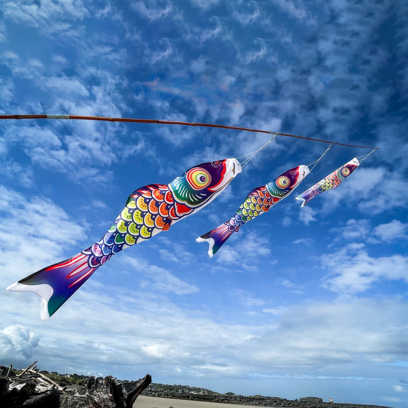 Spectrum Koi Fishsock, 60" H x 13" W, Purple/Green/Yellow