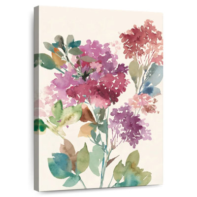 Avery Sweet Hydrangea I
