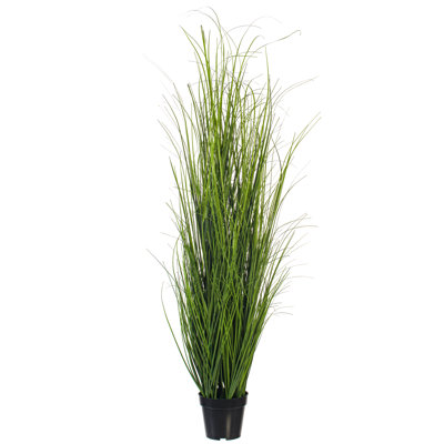 36" Potted Green UV Tufted Hairgrass