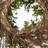 24" Carrot Easter Wreath