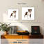 Crowle Baby Boston Terrier