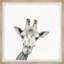 «McBeal Wacky Giraffe», ensemble de 4 reproductions encadrées-2012139969