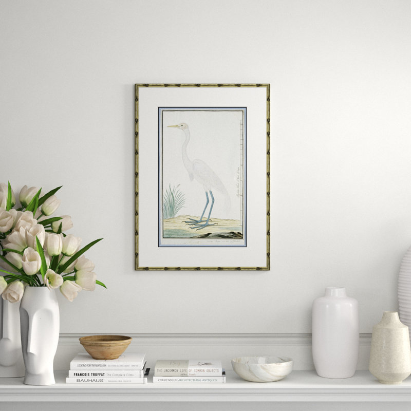 Bird Drawings, Circa 1777 Giclee Print