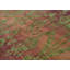 Hand-Knotted High-Quality Red Area Rug