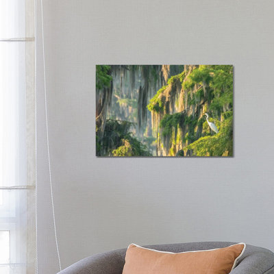 USA, Louisiana, Lake Martin. Foggy swamp sunrise with great egret in tree. 1 Piece Wrapped Canvas Wall Art