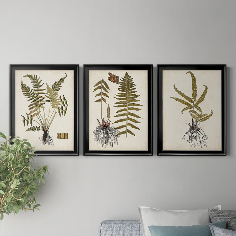 Fern Botanical IV - Ensemble de 3 peintures sur toile encadrées, H 26,5 po x l 109,5 po x P 1,5 po, Toile avec cadre noir