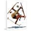 «Wipeout on Skis» par Eugene Iverd, reproduction sur toile tendue-15060405