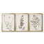 Neutral Botanical Study IV - Ensemble de 3 impressions sur toile encadrées-1770476223-1770476208