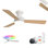 42" Orison Ceiling Fans With Lights, Smart Rgb Backlight, Dimmable Lighting, Alexa Voice Control