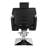 Lenette Swivel Recliner