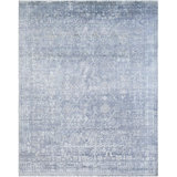 Lille Hand Knotted Oriental Area Rug in Gray
