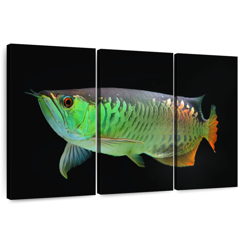 Arowana Fish, 20" H x 33" W