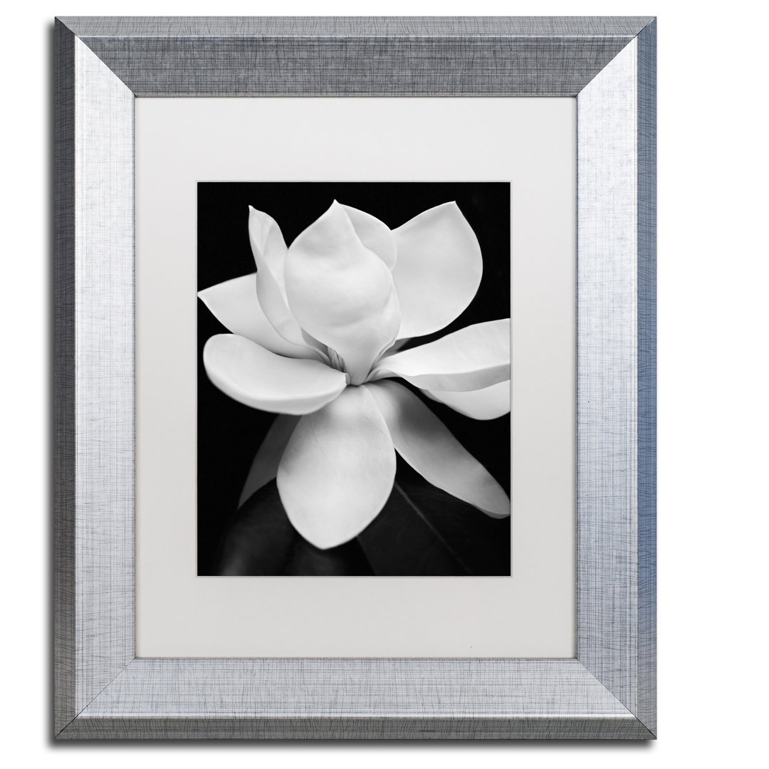 'Magnolia' Framed Photographic Print on Canvas Trademark Fine Art 