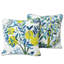 Citrus Garden Pillow-24508074-59769479