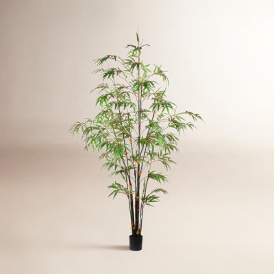 96" Bamboo Tree in Pot