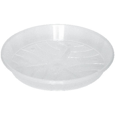 Alstead Plastic Weather Resistant Saucer Plant Stand