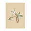 Art sur toile, "ologles "par Mary Vaux Walcott-103100791