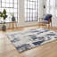Apollo area rug Machine Woven Rectangle Grey-93557214