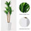 147cm Plant