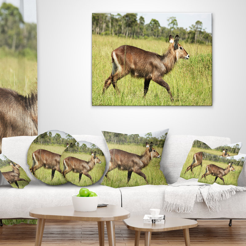 Antilope Waterbuck dans l'herbe verte - coussin imprimé animal, 18 po x 18 po, Coussin décoratif