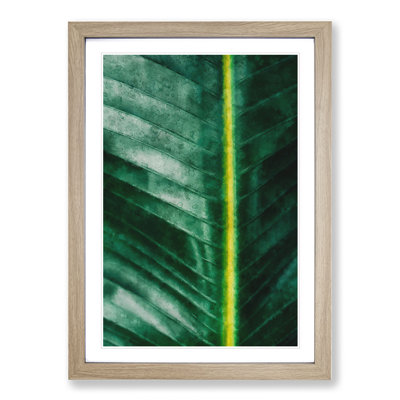 Green Leaf Line - Framed Print
