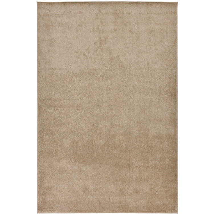 Paola Solid Colour Area Rug