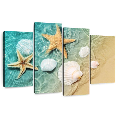 Étoile de mer et coquillages Alvord