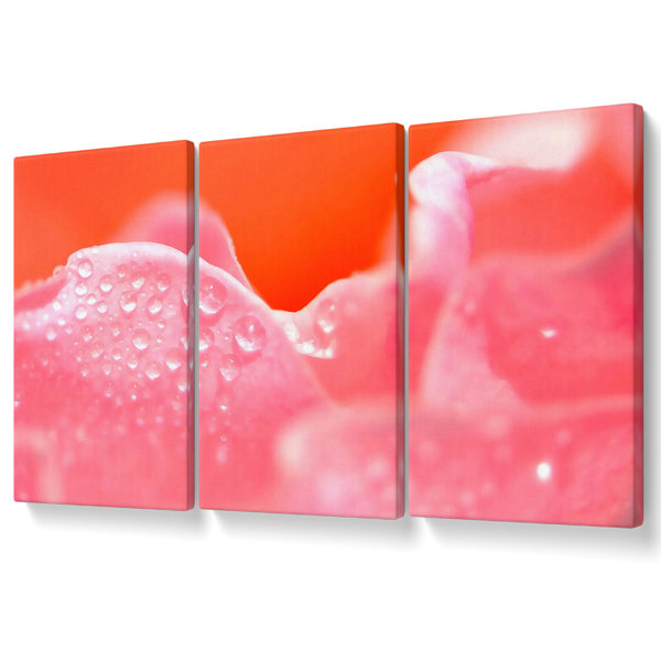 Ebern Designs Pink Rose Dew Drop - 3 Piece Wrapped Canvas Graphic Art ...