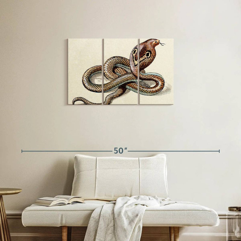 Brampt Indian Cobra, 20" H x 33" W