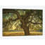 «Blue Oak Silhouette», reproduction d'impression sur toile tendue-29052718-72801065-72801073