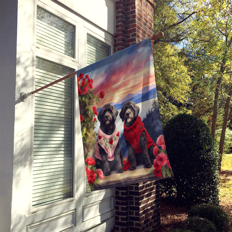 Double Sided 40'' H x 28'' W Polyester Valentine's Day House Flag