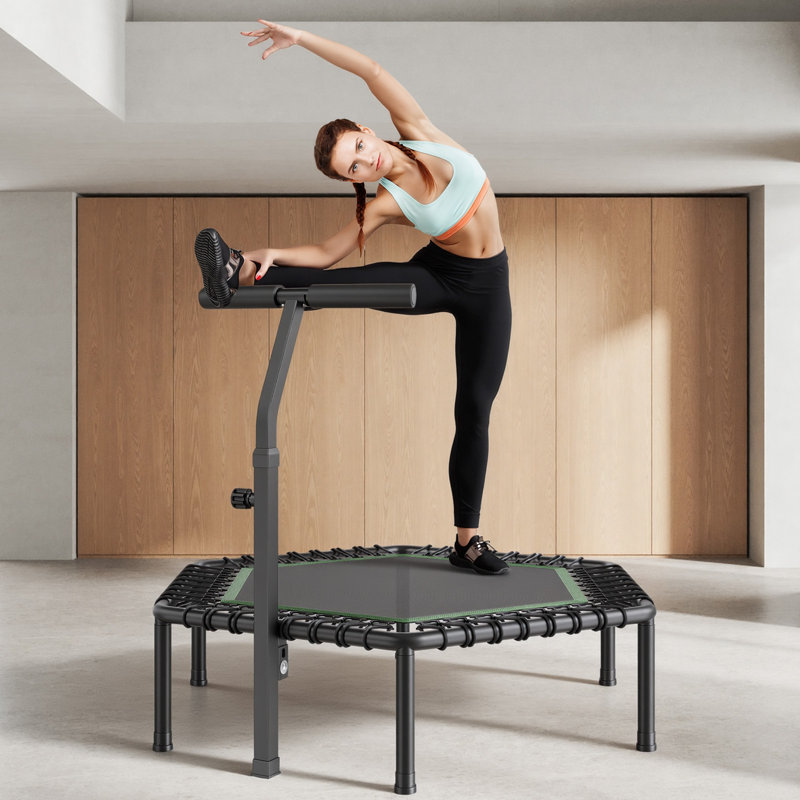 VEVOR in. Round Fitness Trampoline with Handlebar