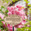 Rose Quote Oval Garden Lawn Plaque-237580209-237580200