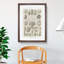 Study of Shells by Ernst Haeckel - Picture Frame Graphic Art-62777566-62777567
