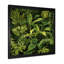 Rainforest Jungle Plants Landscape 1 - Jungle, art mural-201778218-201778223