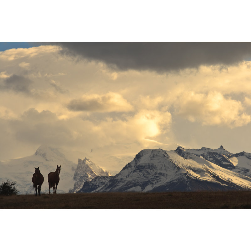 Horses In The Andes by Gcoles - No Frame Print on Canvas, 51cm H x 76cm W