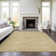  Chayden Area Rug with Non-Slip Backing