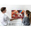 Anshveer Cork Corkboard / Bulletin Board