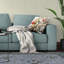 Oreiller Bloom Bower Bliss avec housse amovible-99146919-99210429